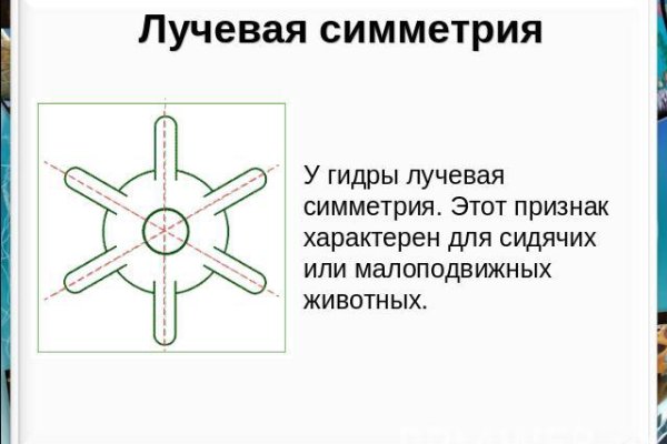 Кракен почему не заходит