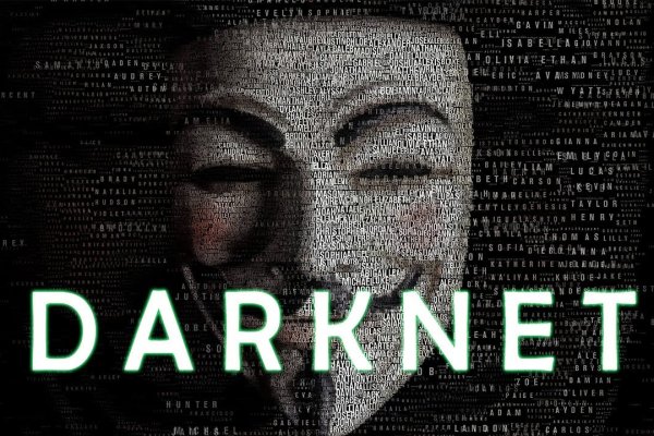 Kraken 13at